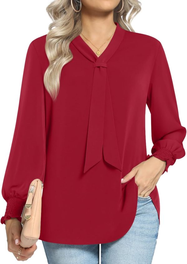 Women's Fall Long Sleeve Chiffon Blouse Winter V-Neck Tunic Tops Business Shirt