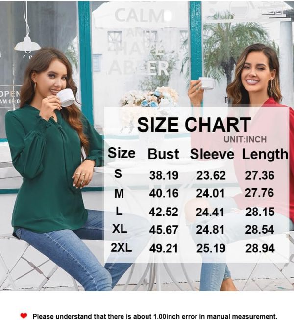 Women's Fall Long Sleeve Chiffon Blouse Winter V-Neck Tunic Tops Business Shirt