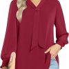 Women's Fall Long Sleeve Chiffon Blouse Winter V-Neck Tunic Tops Business Shirt