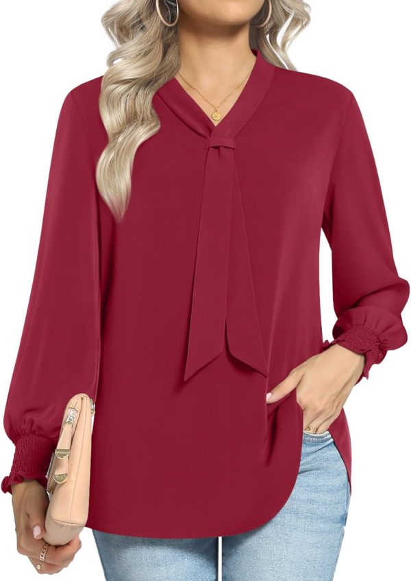 Women's Fall Long Sleeve Chiffon Blouse Winter V-Neck Tunic Tops Business Shirt
