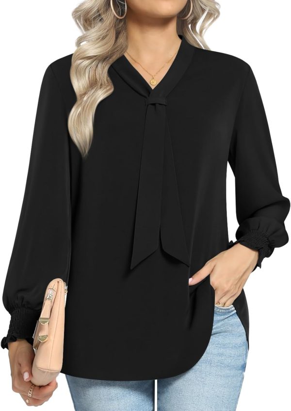 Women's Fall Long Sleeve Chiffon Blouse Winter V-Neck Tunic Tops Business Shirt
