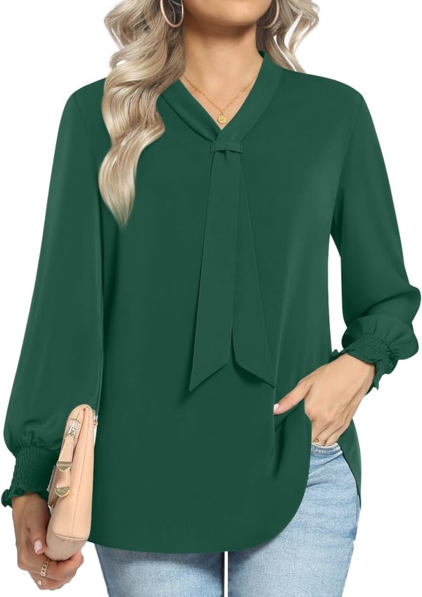 Women's Fall Long Sleeve Chiffon Blouse Winter V-Neck Tunic Tops Business Shirt